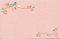 name card - Vogel 10Stück name card - Vogel 10Stück