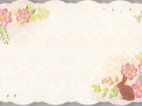 name card - Hase 15 Stück name card - Hase 15 Stück