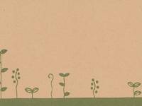 name card - Gräser 15 Stück name card - Gräser 15 Stück