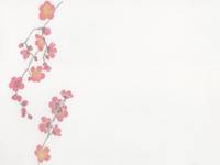 Papiertüte Kirschblüten 1pc Papiertüte Kirschblüten 1pc