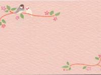 name card - Vogel 10Stück name card - Vogel 10Stück