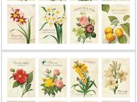 Stamp Sticker Botanical Stamp Sticker Botanical