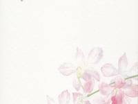 Papiertüte Blume violett 1pc Papiertüte Blume violett 1pc