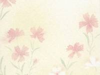 Papiertüte Blume rosa 1pc Papiertüte Blume rosa 1pc