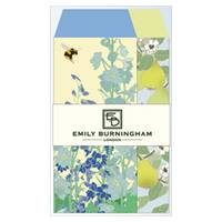 Emily Burningham envelope S delphinium