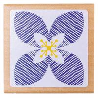 Stempel Blüte Stempel Blüte