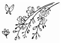 Stempelset Sakura Stempelset Sakura