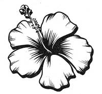 Stempel Hibiskus Stempel Hibiskus