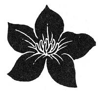 Stempel Seerose Stempel Seerose