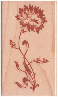 Stempel Kornblume Stempel Kornblume