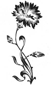 Stempel Kornblume Stempel Kornblume