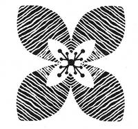 Stempel Blüte Stempel Blüte