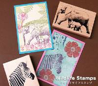 Stempel Akazien Stempel Akazien