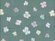 Blüten seafoam double gauze Blüten seafoam double gauze