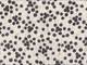 Butterfly dots black double gauze