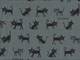 Catman gray-green Catman gray-green