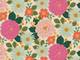 Cotton+Steel Floral Daydream - Garden Path Unbleached Canvas Cotton+Steel Floral Daydream - Garden Path Unbleached Canvas