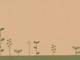 name card - Gräser 15 Stück name card - Gräser 15 Stück
