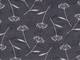 Dandelion dark gray Dandelion dark gray