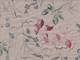 Draw a Flower natur Draw a Flower natur