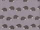 Igel grau Igel grau