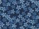 Sakura Shibori blau Sakura Shibori blau