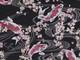 Wachstuch Koi & Sakura schwarz Wachstuch Koi & Sakura schwarz