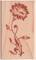 Stempel Kornblume Stempel Kornblume