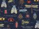 Wachstuch Insect Encyclopedia dunkelblau Wachstuch Insect Encyclopedia dunkelblau