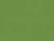 uni green (Canvas) uni green (Canvas)