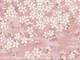 Wachstuch Sakura rosa Wachstuch Sakura rosa