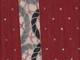 Patch Seile rot Patch Seile rot