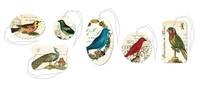 Gift Tags Birds Gift Tags Birds
