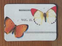 Magnet Butterflies 12 Magnet Butterflies 12