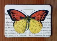 Magnet Butterflies 17 Magnet Butterflies 17