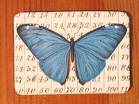 Magnet Butterflies 18 Magnet Butterflies 18