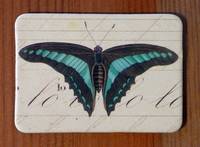 Magnet Butterflies 19 Magnet Butterflies 19