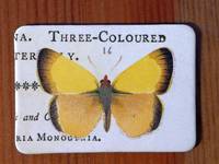 Magnet Butterflies 14 Magnet Butterflies 14