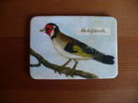 Magnet Birds & Nests 20 Magnet Birds & Nests 20