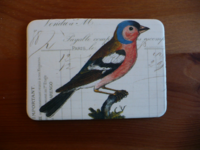 Magnet Birds & Nests 02 Magnet Birds & Nests 02