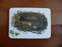 Magnet Birds & Nests 09 Magnet Birds & Nests 09