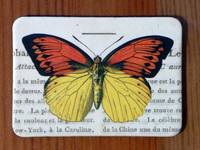 Magnet Butterflies 17 Magnet Butterflies 17
