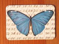 Magnet Butterflies 18 Magnet Butterflies 18