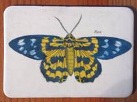 Magnet Butterflies 02 Magnet Butterflies 02