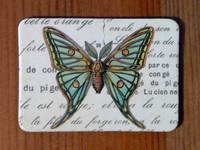 Magnet Butterflies 05 Magnet Butterflies 05