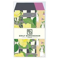 Emily Burningham envelope S rose Emily Burningham envelope S rose