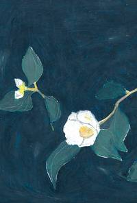 Akiko Naito postcard - white camellia Akiko Naito postcard - white camellia