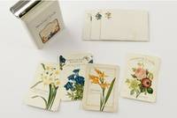 Message Pack 02 Botanical Message Pack 02 Botanical