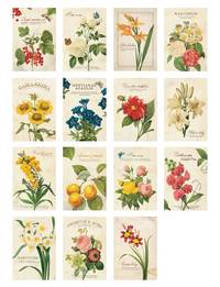 Message Pack 02 Botanical Message Pack 02 Botanical