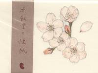 SEKIHANDO Washi paper cherry tree 24 sheets SEKIHANDO Washi paper cherry tree 24 sheets
